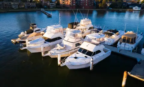 Caribbean Boats boat, official source image